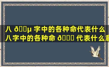 八 🌵 字中的各种命代表什么（八字中的各种命 🐅 代表什么意思）